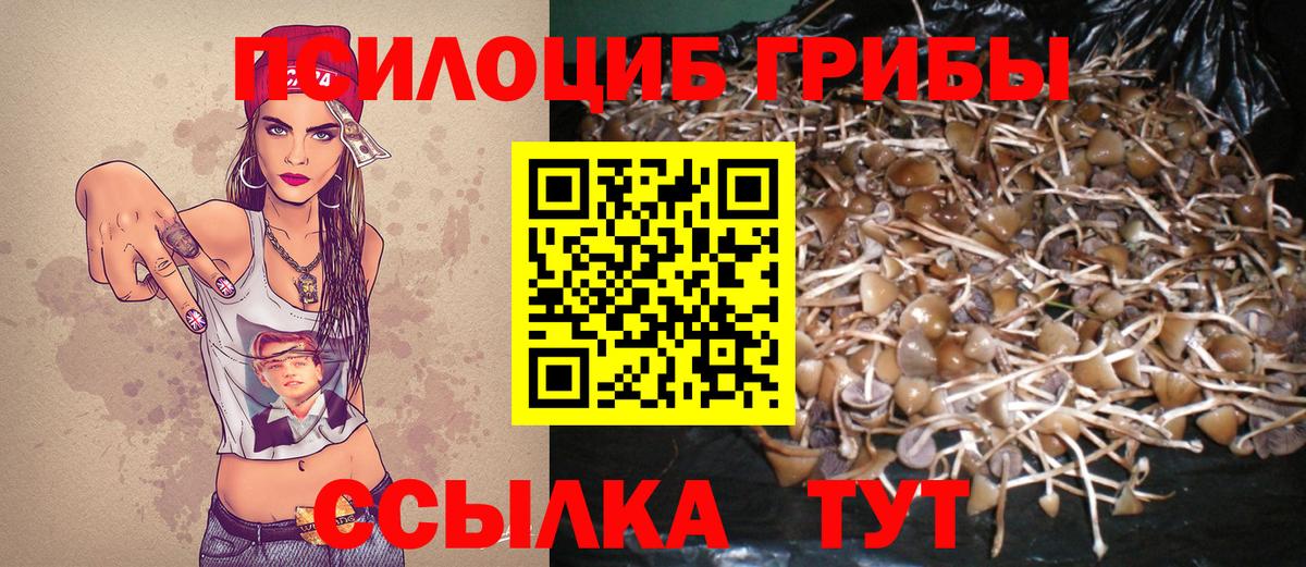 Котельники  Псилоцибиновые грибы MAGIC MUSHROOMS  Вход с VPN 