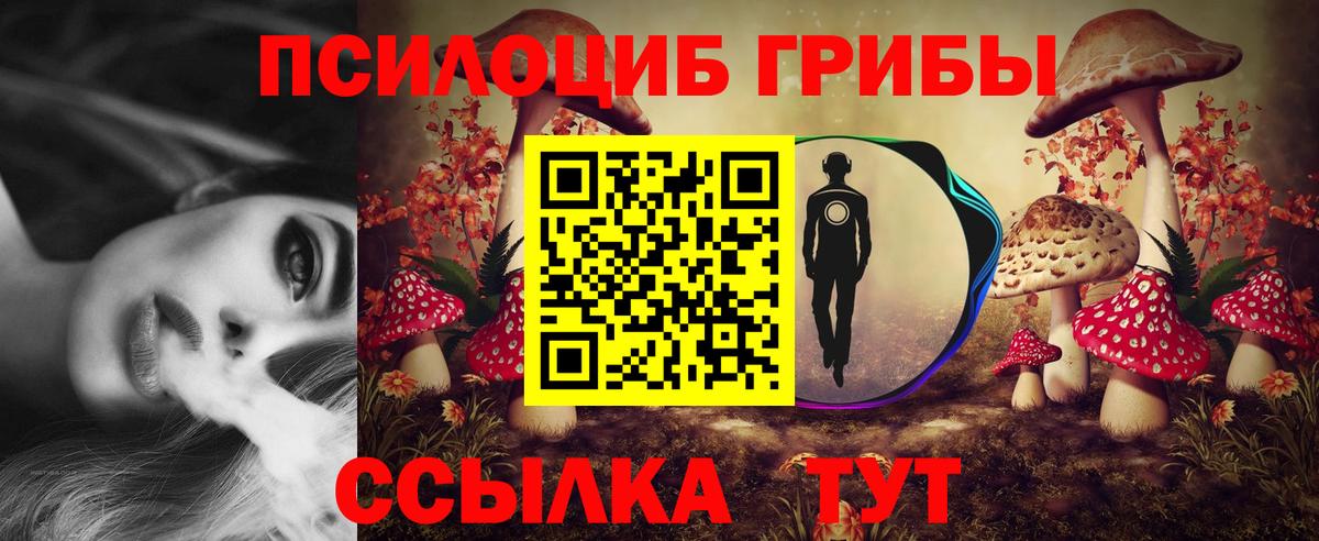 Псилоцибиновые грибы MAGIC MUSHROOMS Котельники